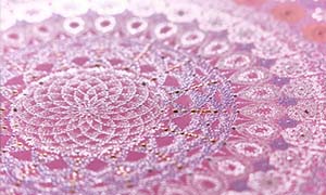 名古屋個展：心の解放・展